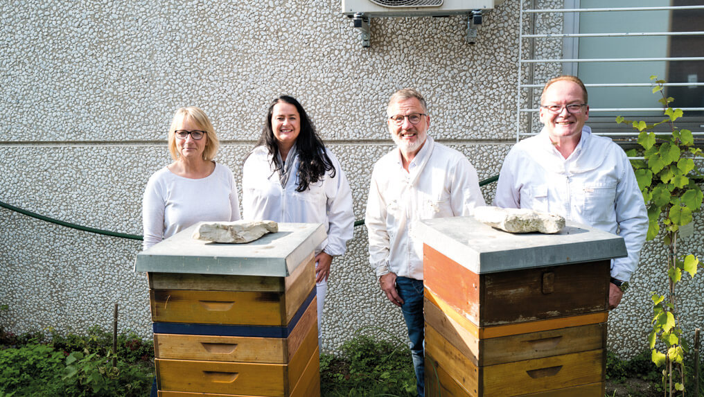 Newsbeitrag-Bienen1
