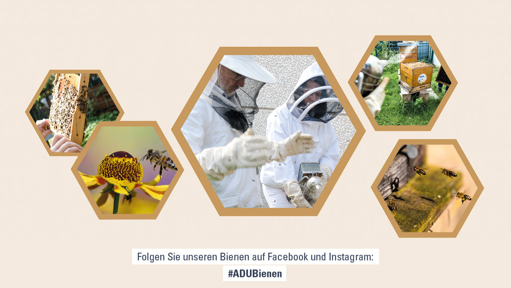 Weihnachten Bienen